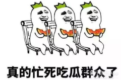 娱乐吃瓜酱知识怎么就进脑子里了,揭秘网络流行语背后的文化现象