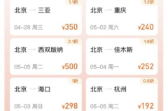特价机票网,轻松掌握购票技巧与优惠信息