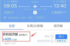 沈阳到上海机票,便捷出行，价格实惠的空中桥梁