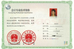 初级会计职称考试,全面解析考试内容与备考策略