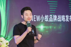 达鸿飞,科技巨擘的崛起与未来展望