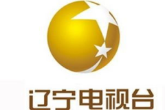 辽宁公共频道直播,精彩瞬间回顾