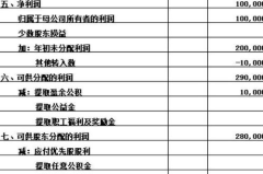 未分配利润,企业盈利的奥秘与分配策略