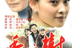 香樟树电视剧,青春结义，岁月变迁的友情传奇